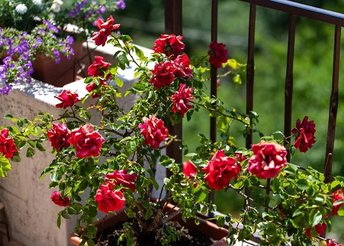 Magda With A Parking Space And Sea View Apartment